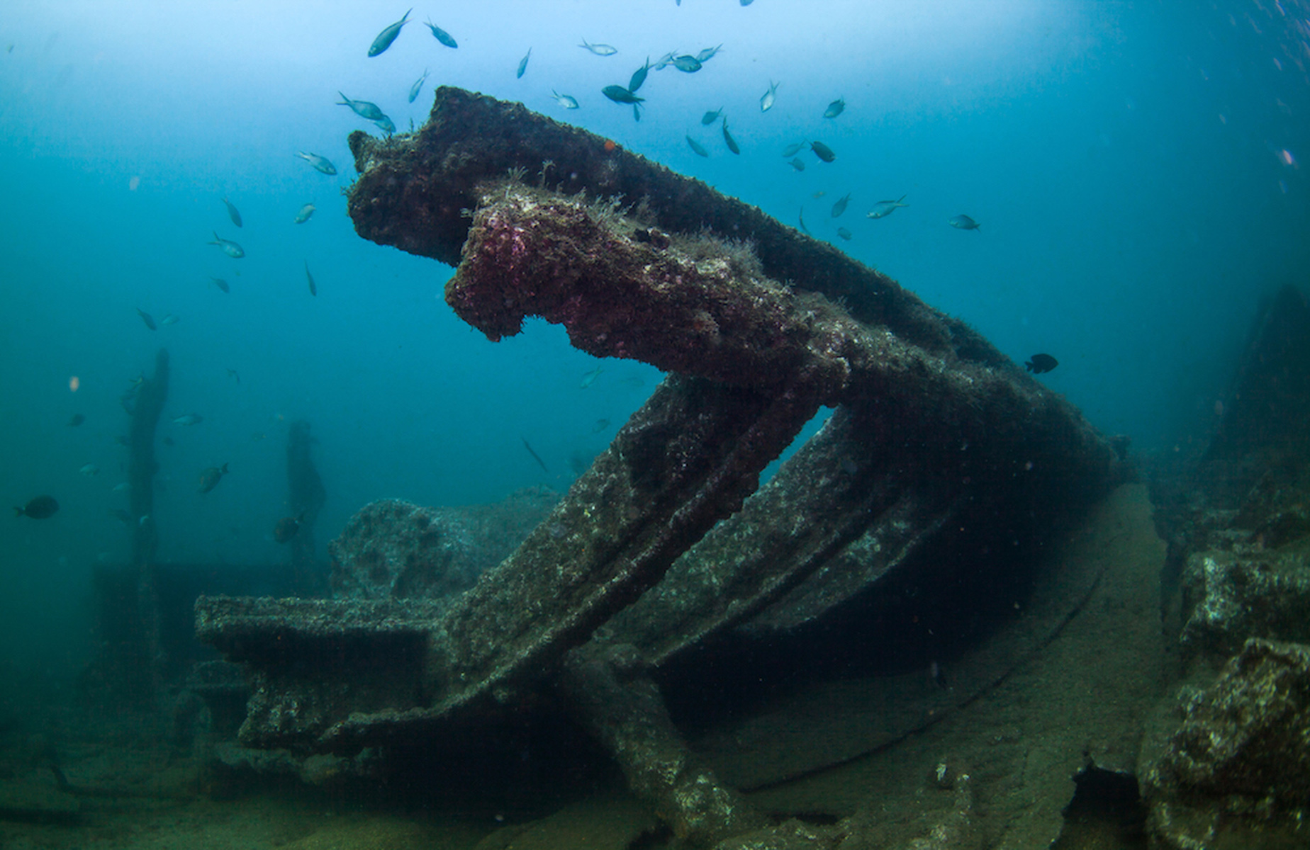 Dive St Helena. © Rainer Schimpf