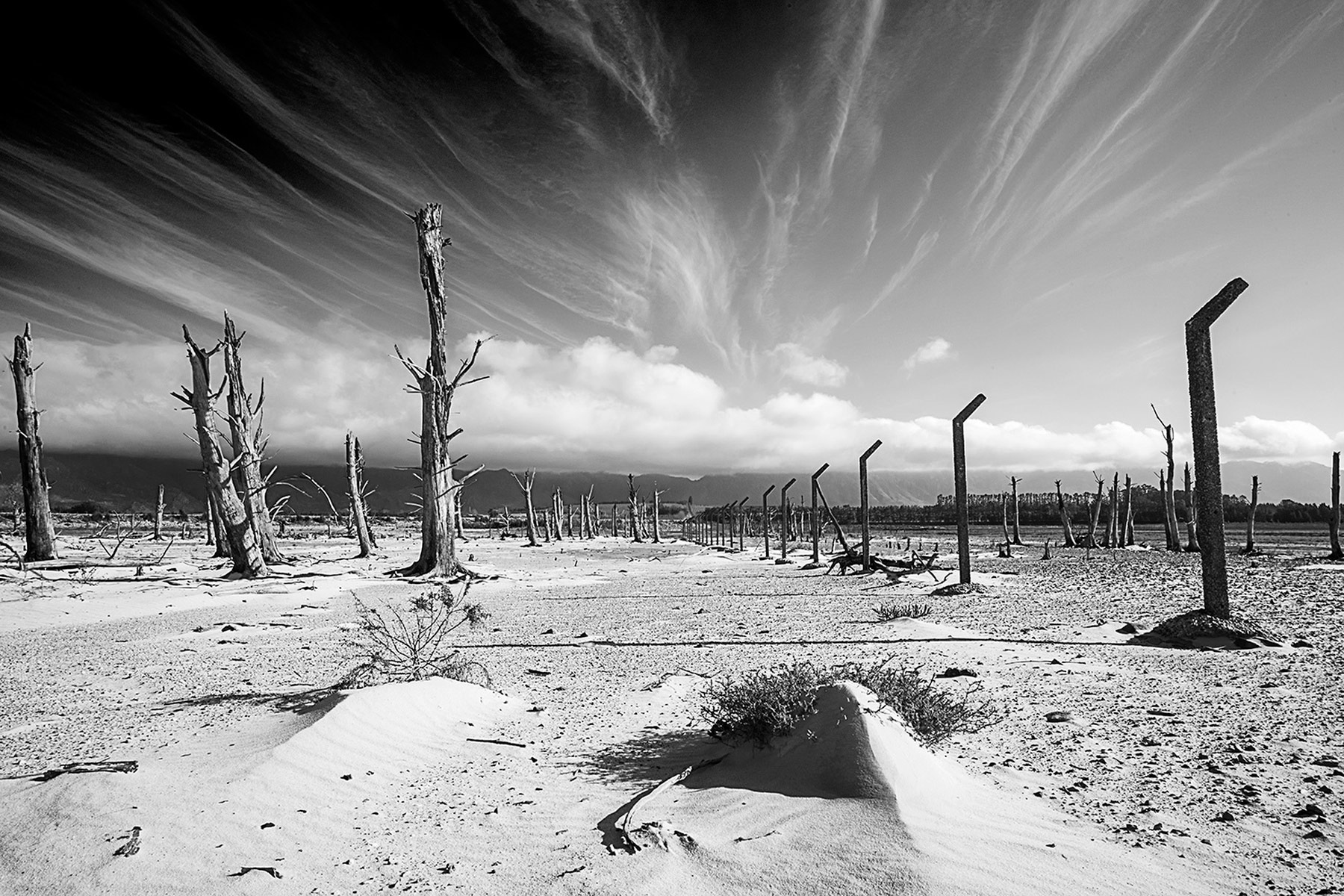 Photo taken at Tierwaterskloof Dam, Western Cape, during the drought. © Bernard Seymour Hall