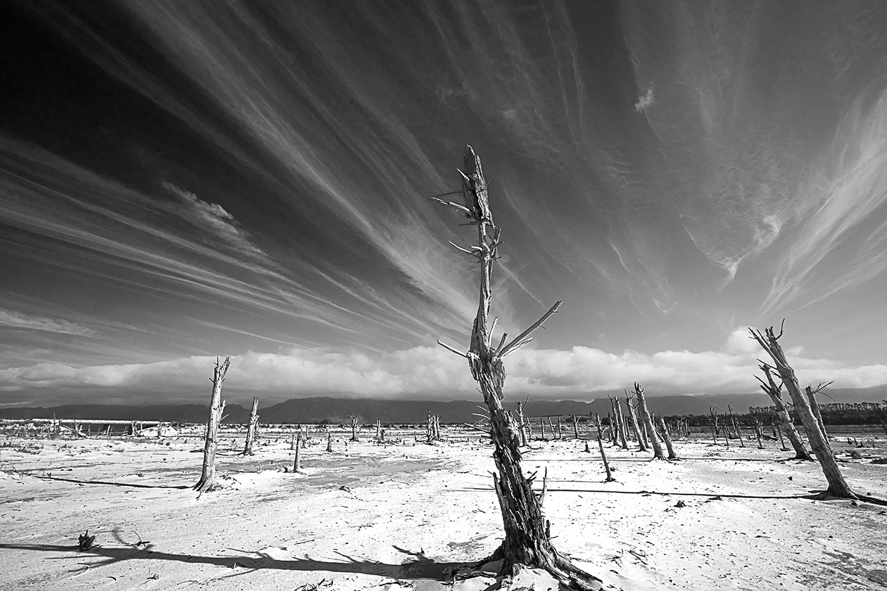 Photo taken at Tierwaterskloof Dam, Western Cape, during the drought. © Bernard Seymour Hall