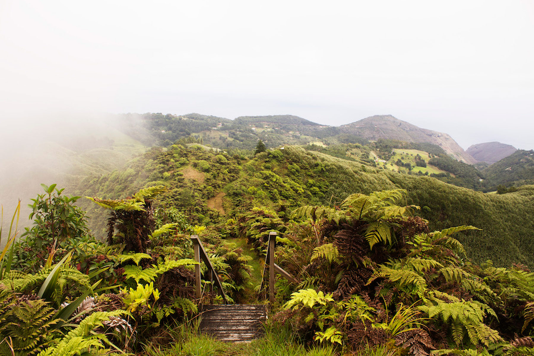 St Helena Island. © Ed Thorpe