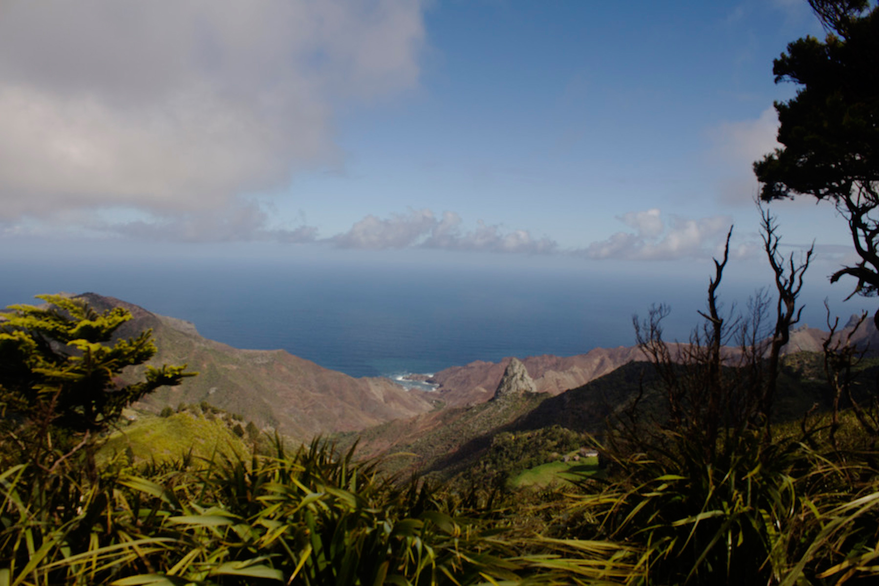 St Helena Island. © Ed Thorpe