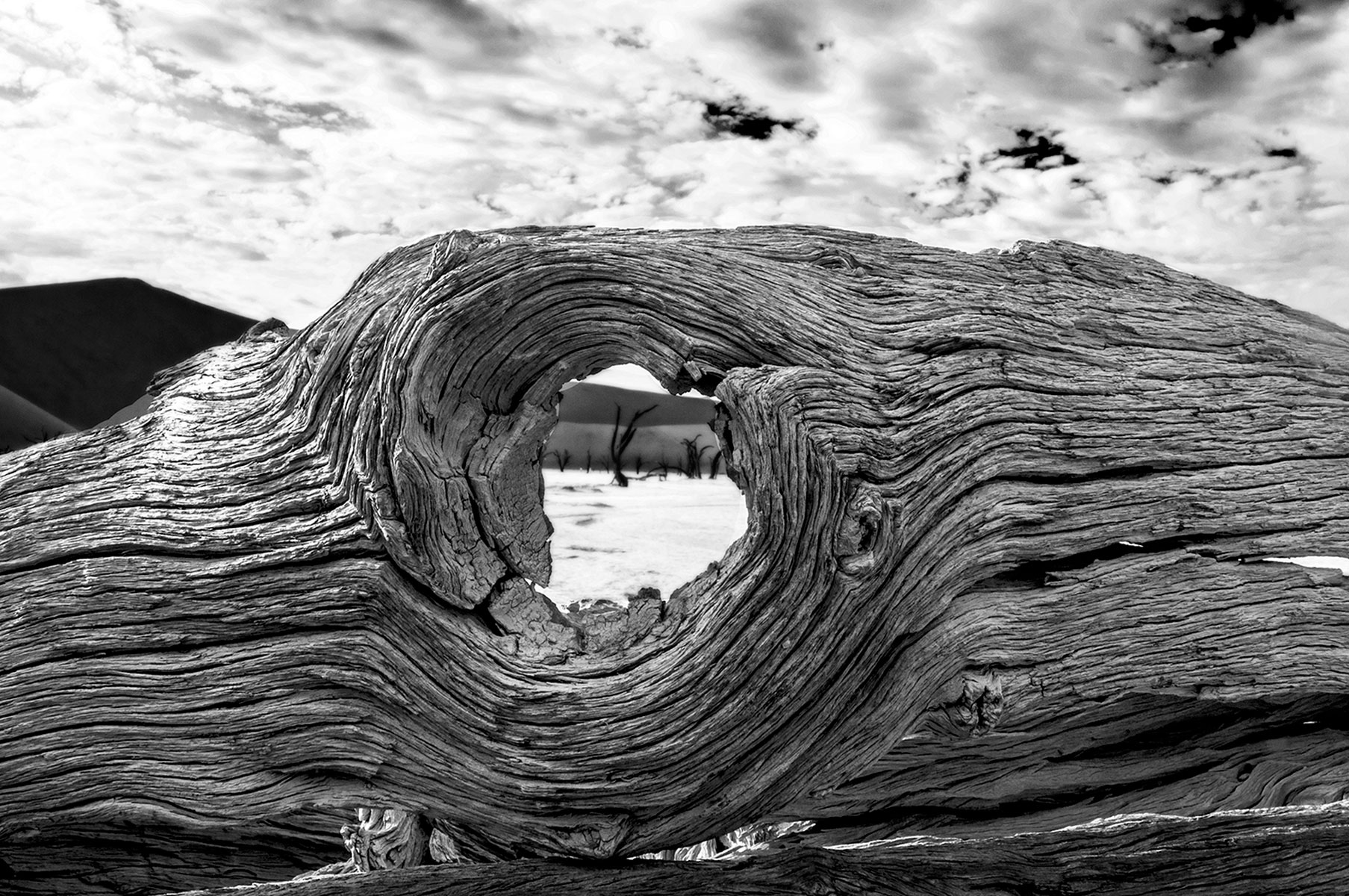 Deadvlei in Namibia. © Bernard Seymour Hall