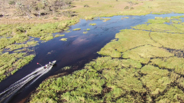 Moremi Crossing, Okavango Delta. ©Paul Changuion