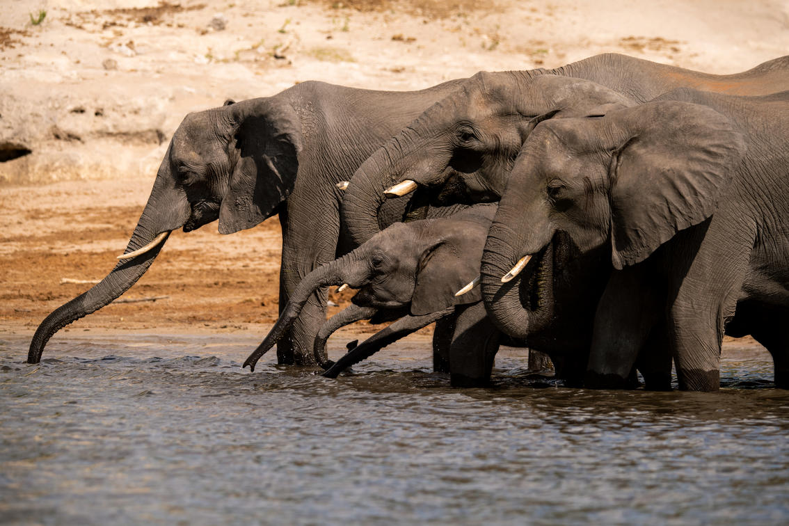 Kasane © Chobe Princesses