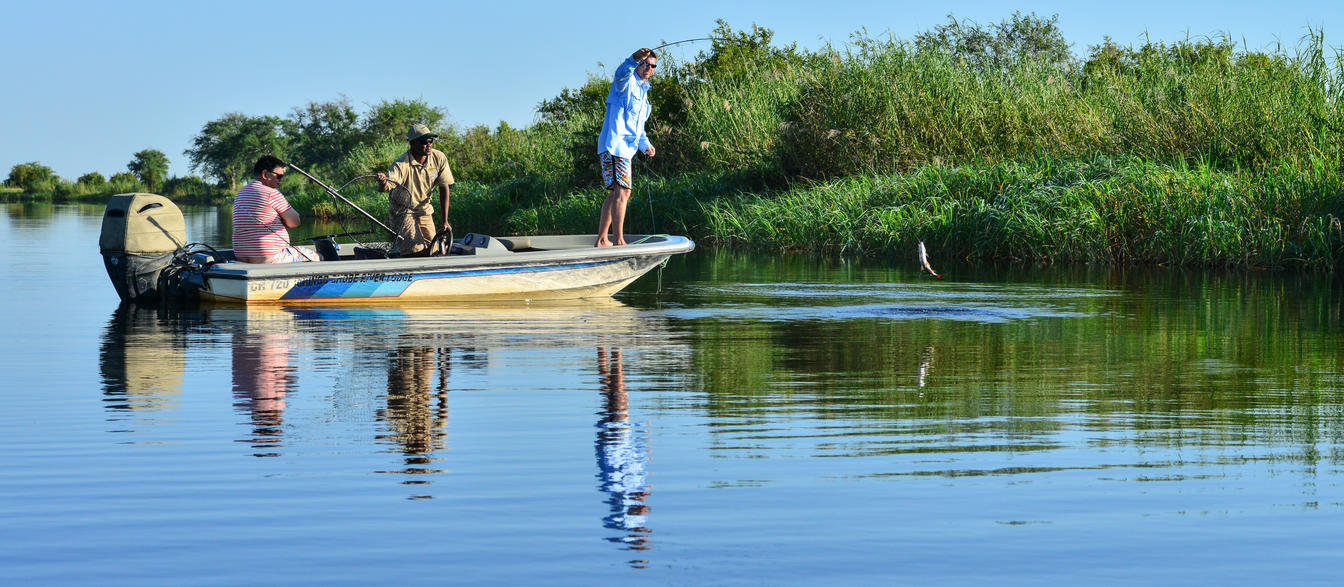 Tiger Fishing on the Chobe River. Kasane © Chobe Princesses