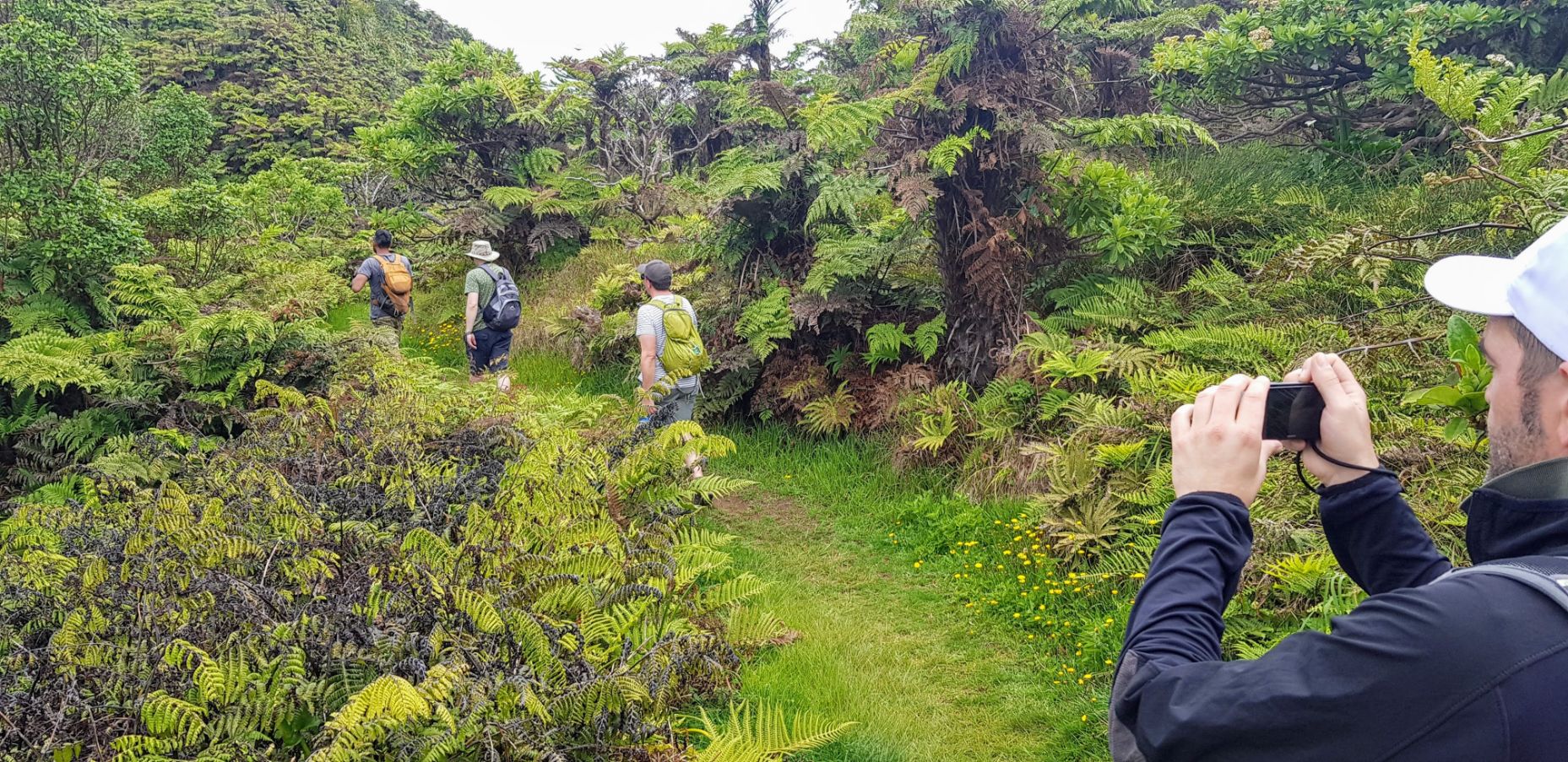 Hiking on St Helena Island. Courtesy of: St Helena Tourism