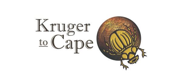 Kruger to Cape Kruger to Cape