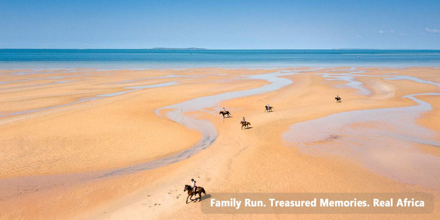 Mozambique Horse Safari Mozambique Horse Safari
