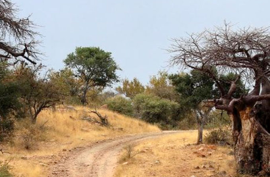 Polokwane