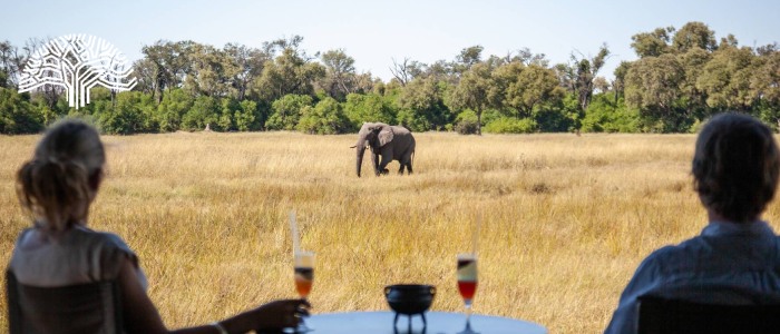 Machaba Safaris