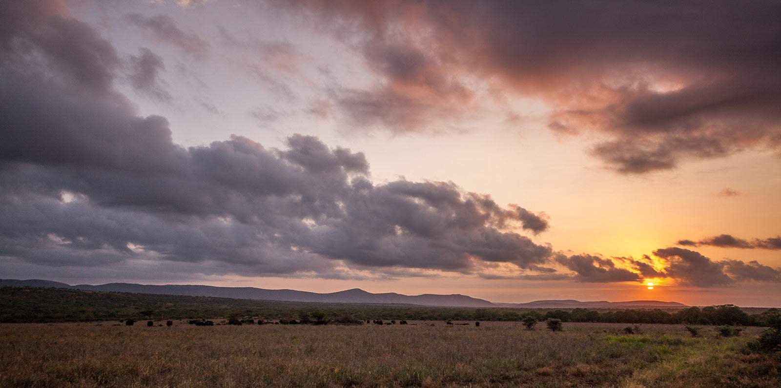 Manyoni Private Game Reserve Manyoni Private Game Reserve