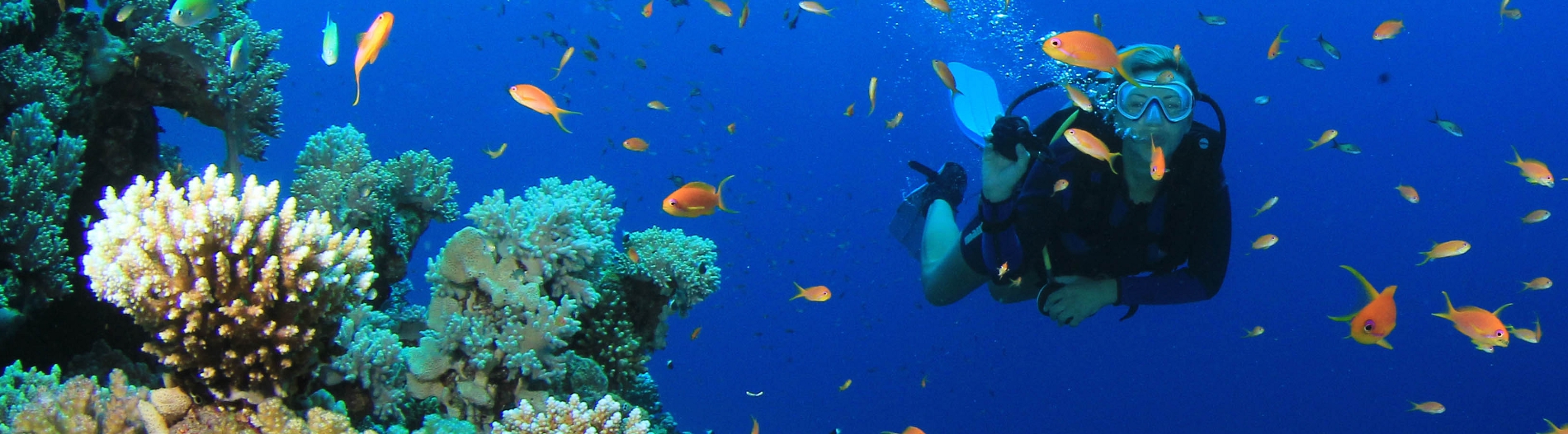 Bossi Island Adventures Bossi Island Adventures