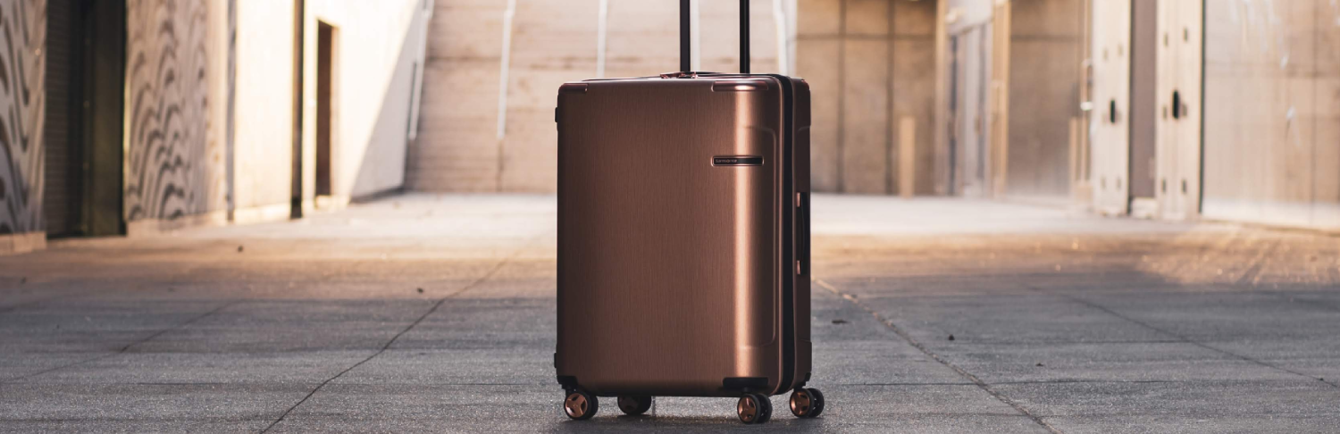 Checked or Hold Baggage Checked or Hold Baggage