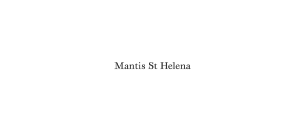 Mantis St Helena