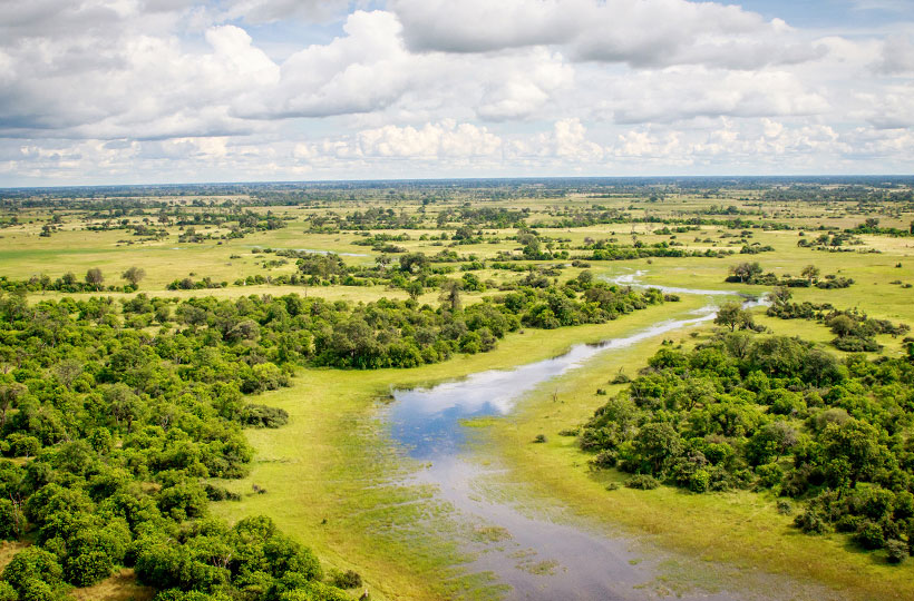 Okavango Delta Boat Safari