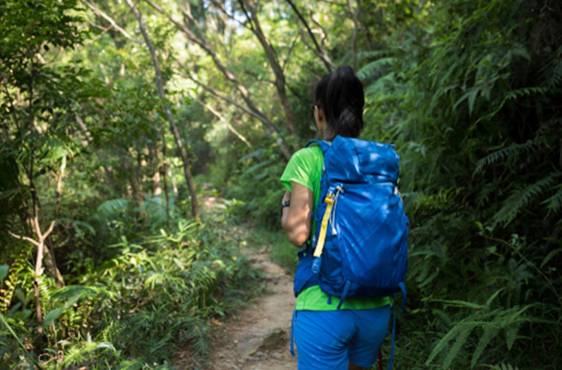 Pugu Hills Forest Reserve
