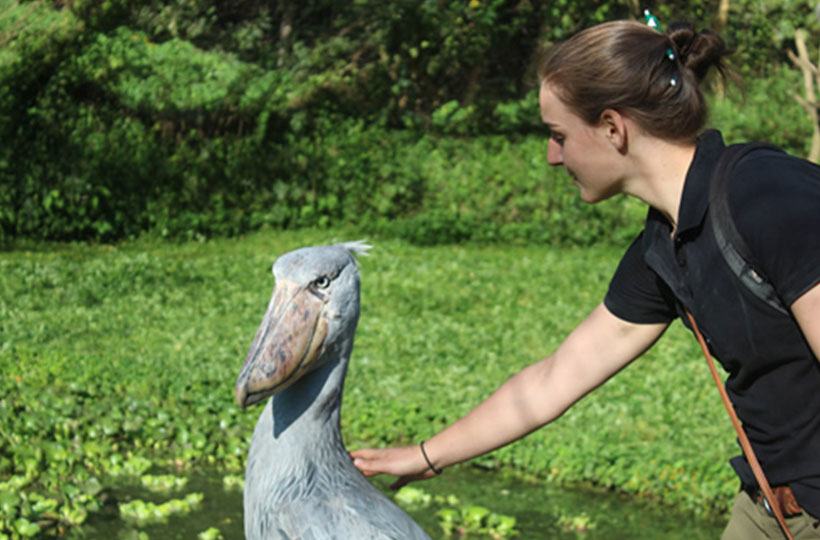 Wildlife Education Centre