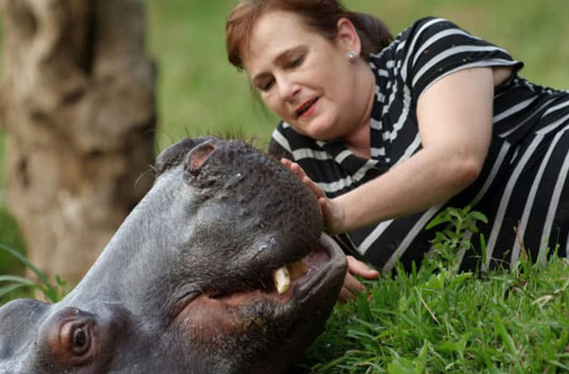 Jessica The Hippo