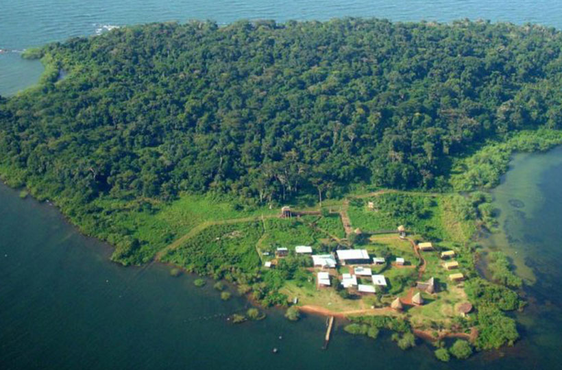 Ngamba Island Chimpanzee Sanctuary