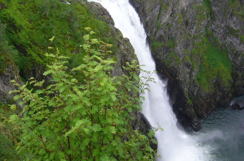 Lofoi Falls