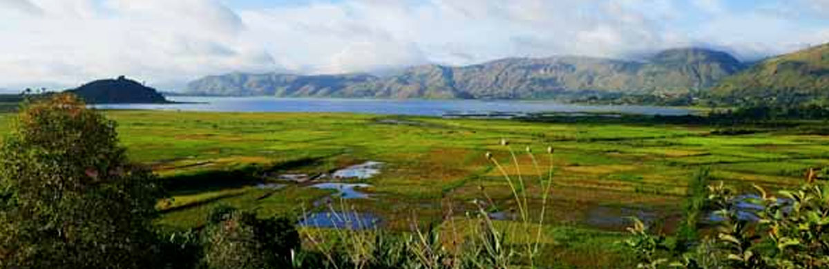Ambaro Ranch