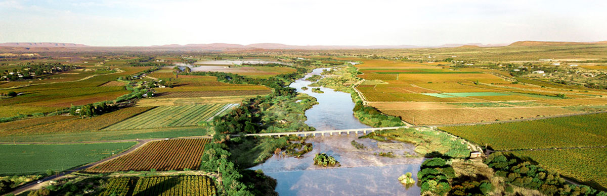 Orange River Wine Route