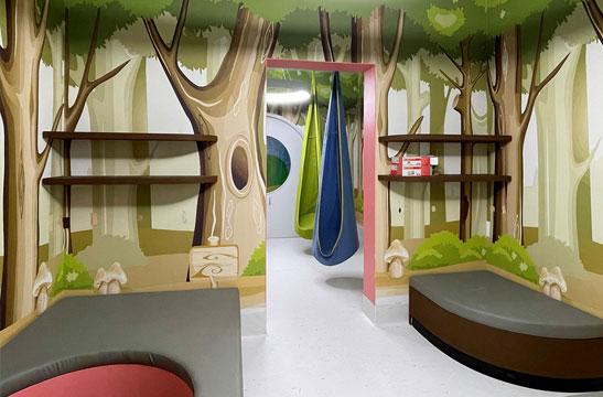 Dream Room
