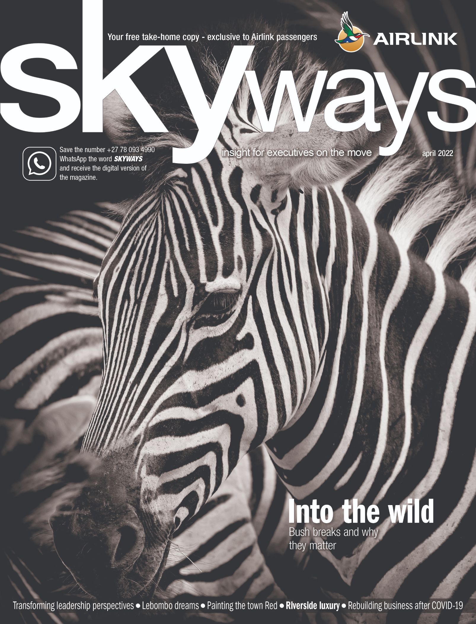 Skyways magazine