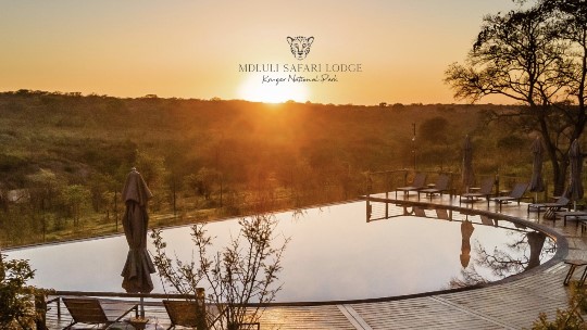 Mdluli Safari Lodge Mdluli Safari Lodge