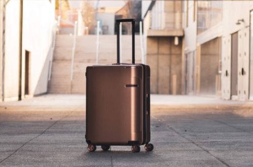 Checked or Hold Baggage