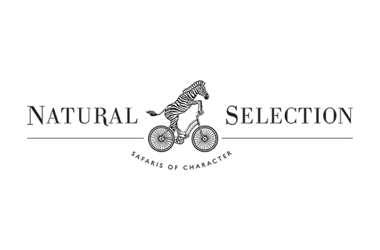 Natural Selection Natural Selection