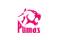 airlink_pumas_partner