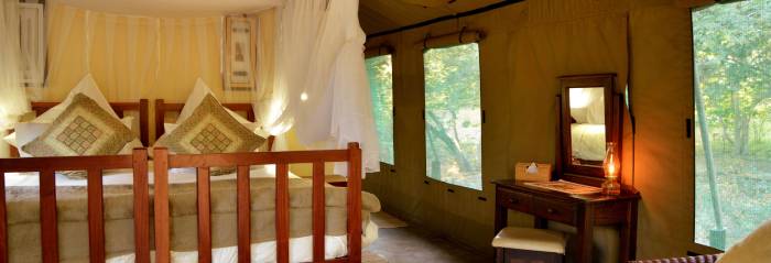 elephant_vallety_lodge elephant_vallety_lodge