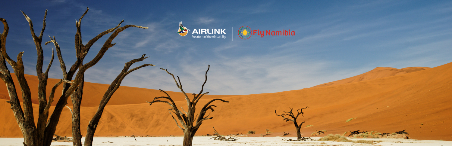 airlink_flynambia