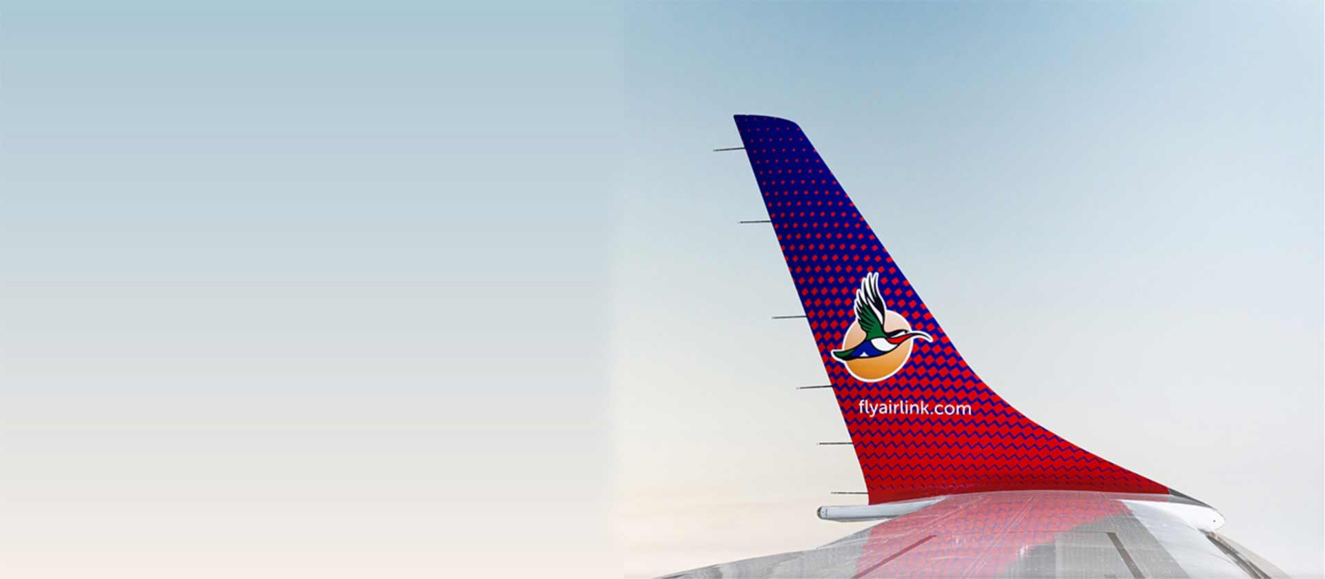 Flight information Online Check-in
