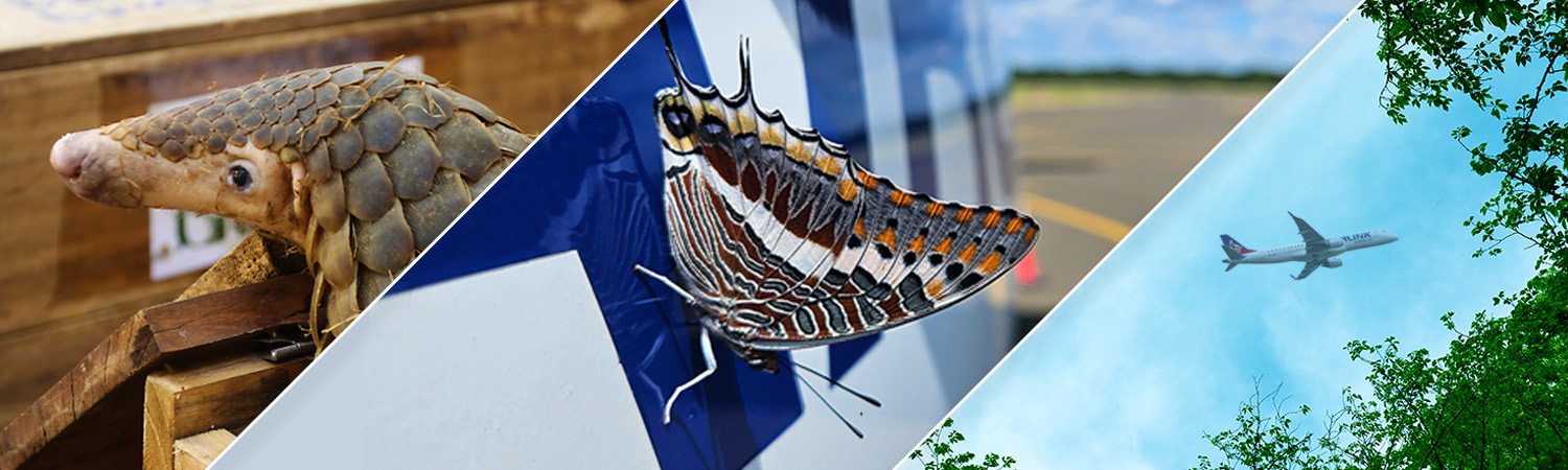 Enviro banner