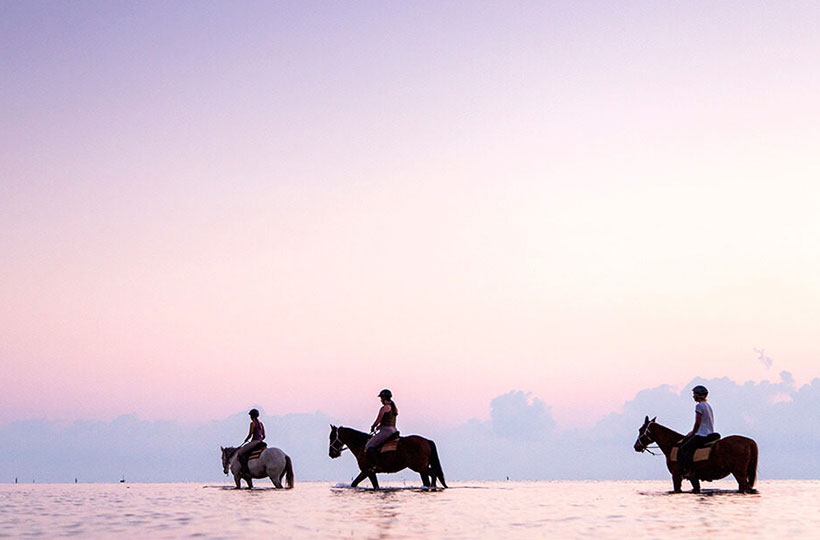 Mozambique Horse Safari