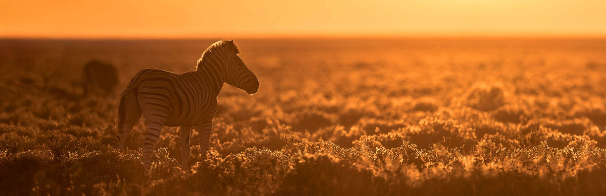 Etosha National Park