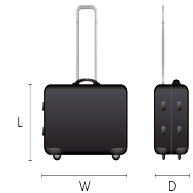 saa checked baggage