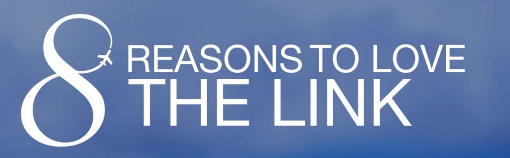 8 Reasons to Love the Link